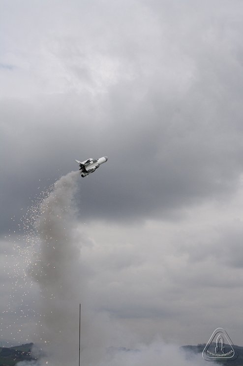 2013 Svojek Mirek Topinka